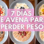 FLAN DE AVENA SIN AZÚCAR SALUDABLE  SIN LACTOSA SIN HUEVO VEGANO Recetas de Gri