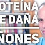 HAMBURGUESAS de QUINOA y AVENA | Saludable y Ligera | VeganVital