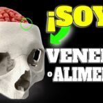 ALFAJORES MENDOCINOS FÁCILES Y DELICIOSOS | SERIE ALFAJORES #4 | Elu Sweets