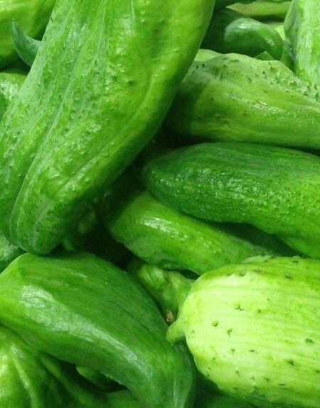 Recetas con Pepinos: como preparar ¡Sorprendente y delicioso guisado de pepinos: una explosión de sabor refrescante!