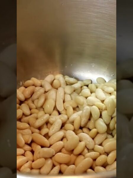 Potaje de alubias blancas