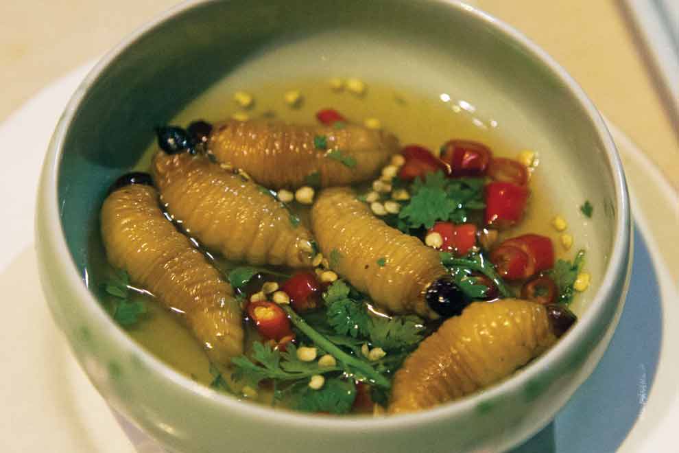 Los 5 Guisados Más Raros y Sorprendentes del Mundo ¿Te Atreverías a Probarlos? (Hay uno que podría matarte!)