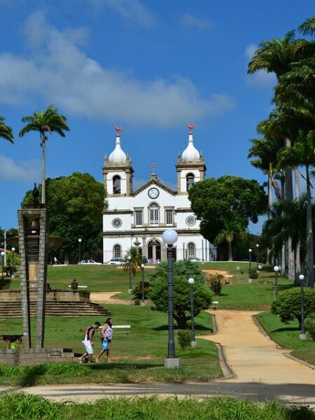 Delicioso guiso de lentejas y verduras