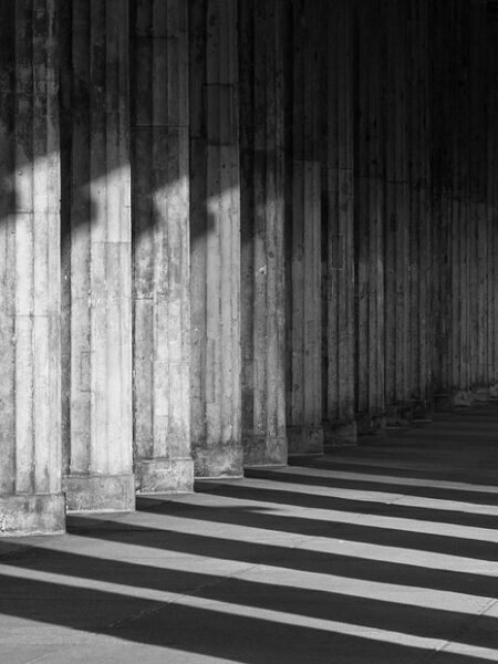 Delicioso Guiso de Atún con Jitomate y Cebolla