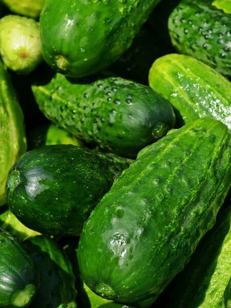 Merluza al vapor con verduras: un plato saludable y delicioso