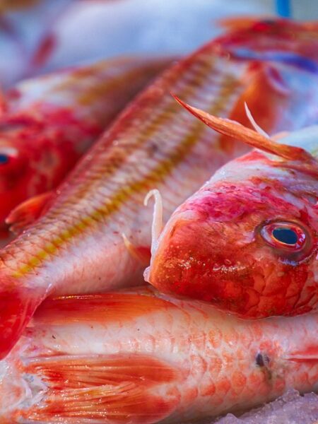 Delicioso guisado de bacalao con tomate y aceitunas