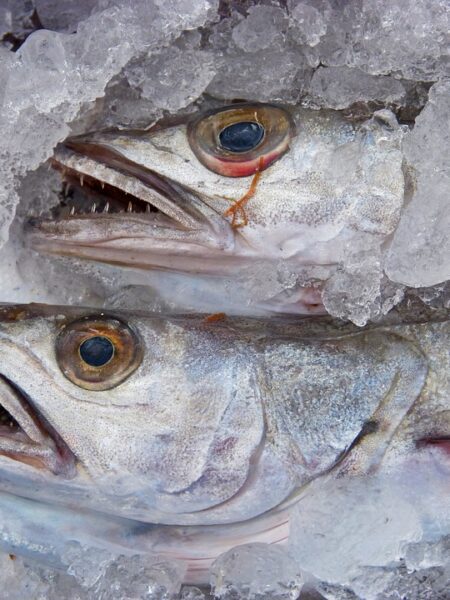 Merluza a la gallega: Delicia marinera en tu mesa