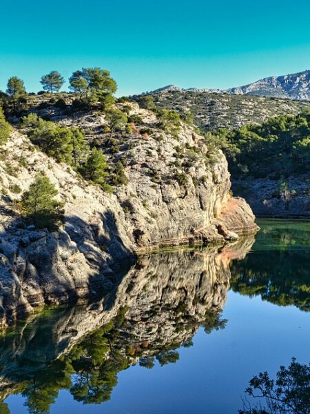 Atún en lata a la provenzal: delicia en 30 minutos
