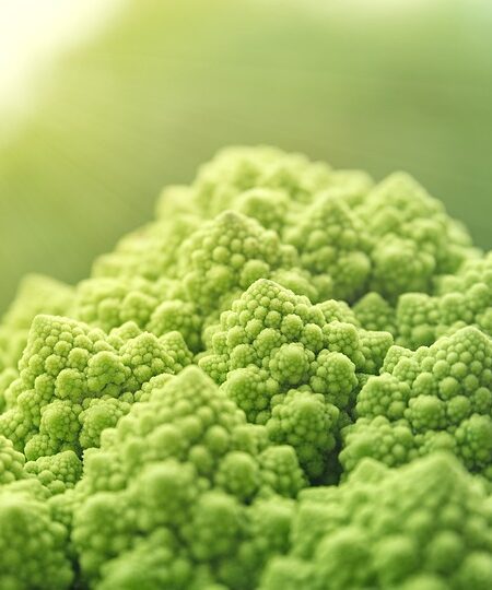 Merluza guisada con verduras de temporada