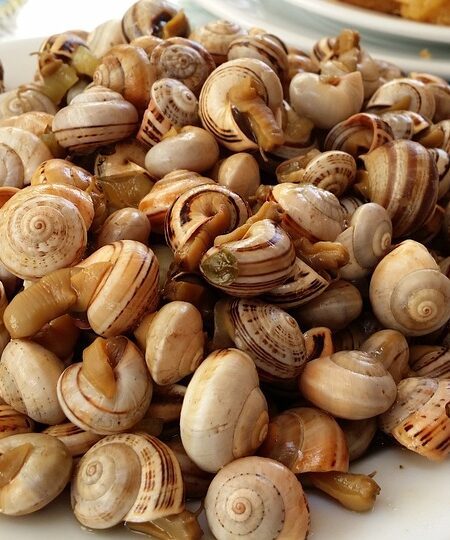 Atún a la Mexicana: Receta de Atún Guisado con Tomate, Cebolla y Chile