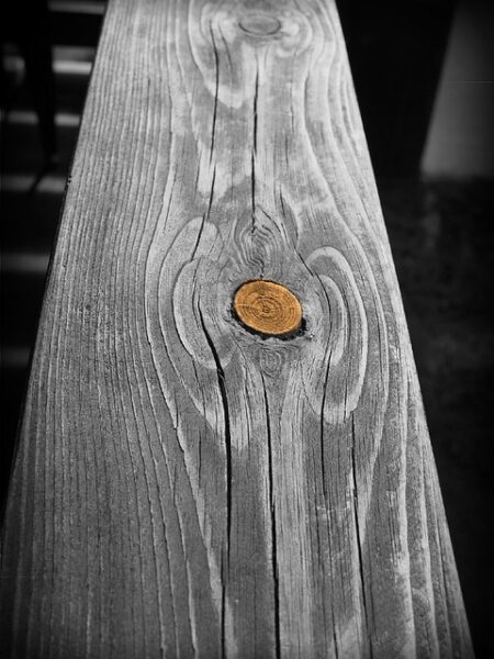 Delicioso guisado de atún en lata con verduras