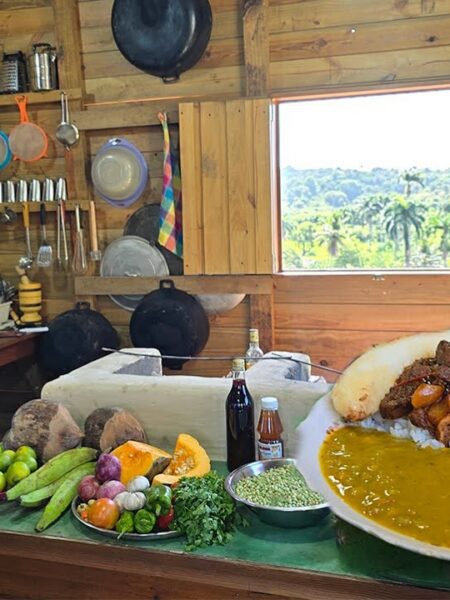 Guisados de Carne: Platillo típico de la vida en el campo: Carne de chivo guisada con miel y verduras criollas.