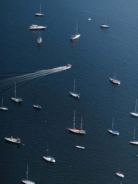 Estofado de Congrio a la Chilena