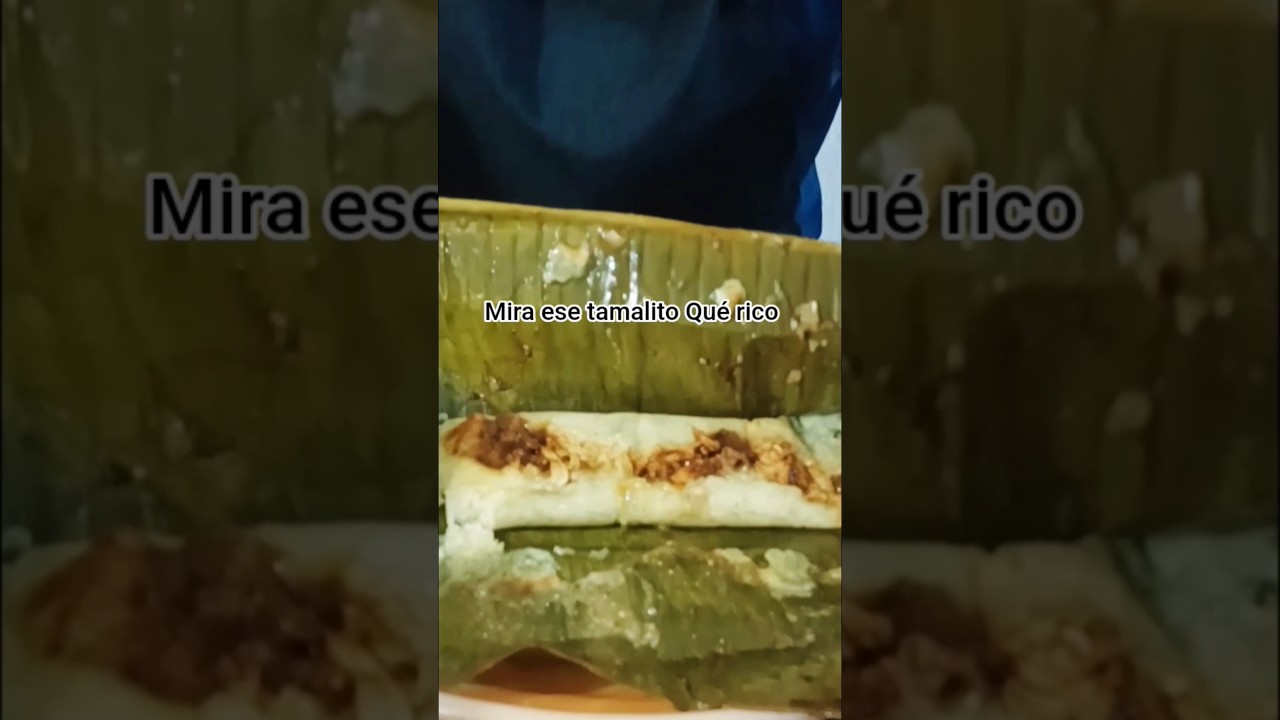 Tamales de mole caseros: Un pedacito de México en cada mordida