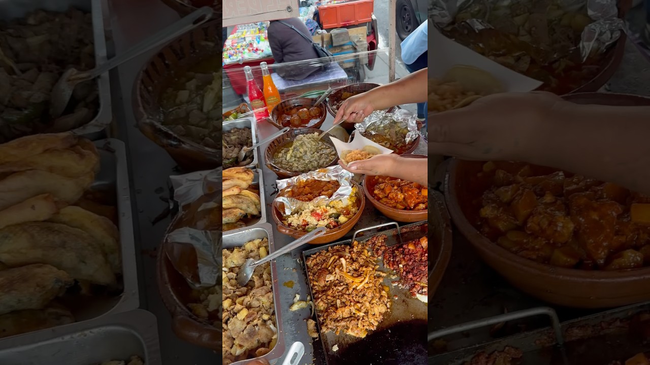 Guisados económicos - Tacos de guisado estilo metro Salto del agua