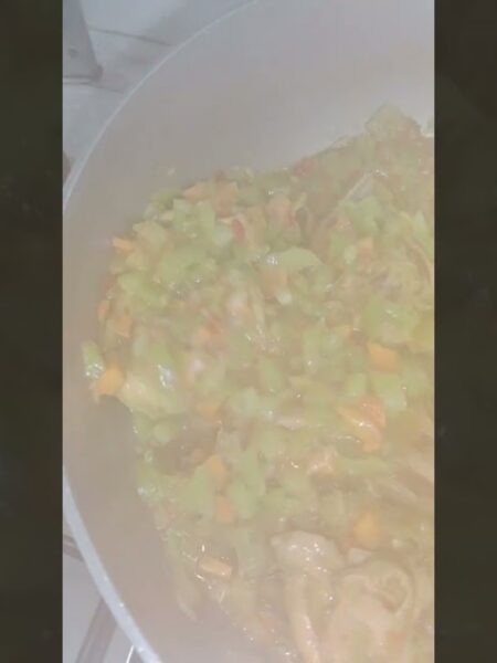 Pepino de Guiso - Un delicioso guisado de pepino y pollo sudado