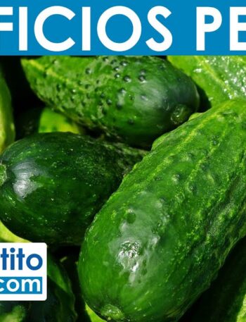 8 Propiedades y Beneficios del Pepino | QueApetito