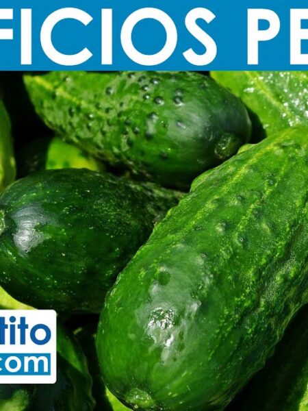 8 Propiedades y Beneficios del Pepino | QueApetito