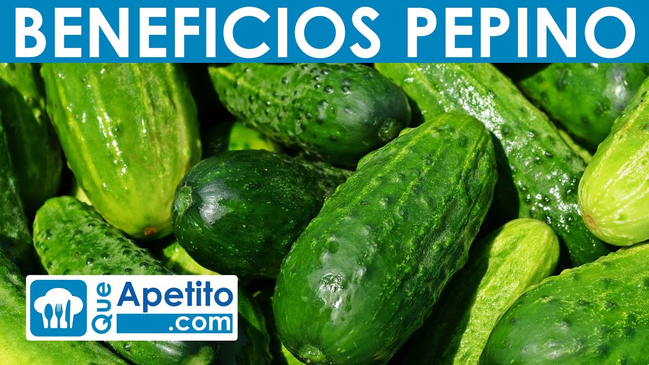 8 Propiedades y Beneficios del Pepino para una Dieta Saludable (Guisados Varios)