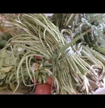 Tagarninas esparragadas con huevo de campo