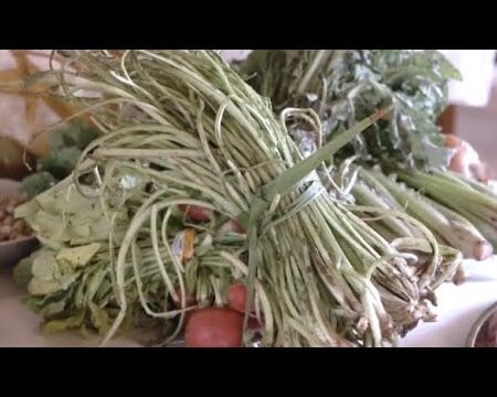 Tagarninas esparragadas con huevo de campo