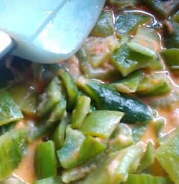 Guisado Vegetariano de Pepino Común 5 Pepino común guisado