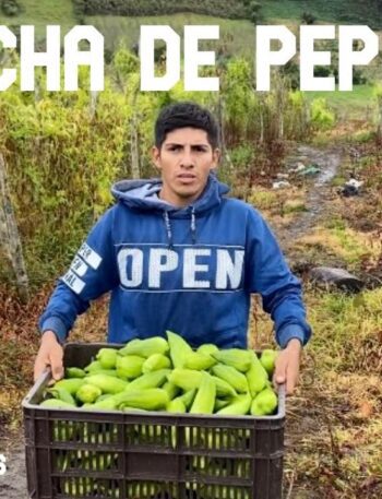 Cultivo casero de pepinos: frescura garantizada 2 Estuvimos trabajando en un gran cultivo de pepinos..