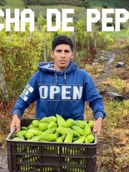 Estuvimos trabajando en un gran cultivo de pepinos..