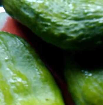 Guisado vegetariano de pepino casero 2 Pepino común guisado