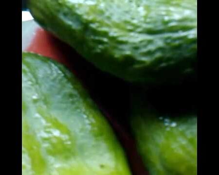 Pepino común guisado