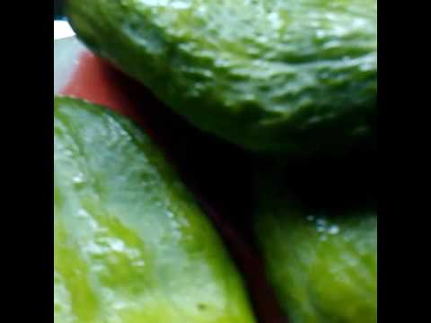 Pepino común guisado