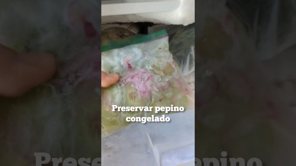 Conservar pepino CONGELADO!