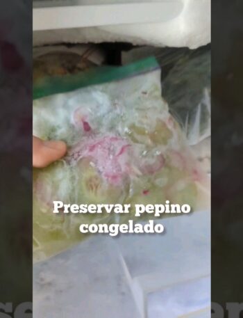 Congelar pepinos al punto: ¡hazlo bien! 3 Conservar pepino CONGELADO!