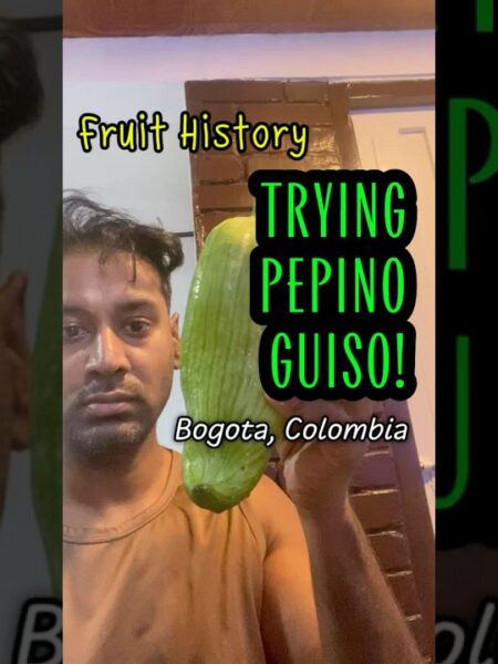 Trying Pepino Guiso! #solotravel #colombia #bogota #vegetables #history