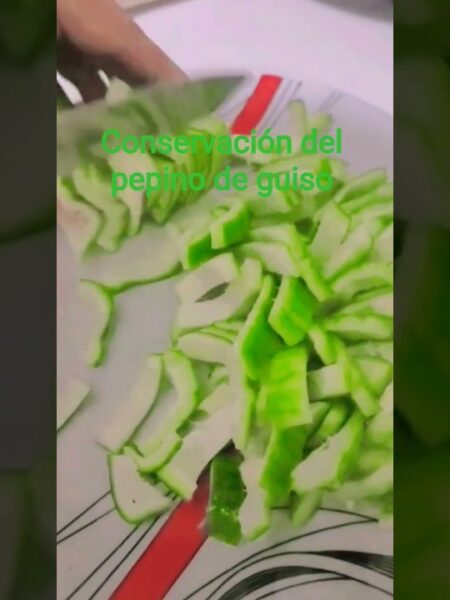 como conservar el pepino de guiso para que dure más tiempo?