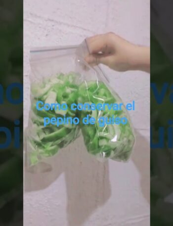 pepino de guiso conservación #cocina #pepinos