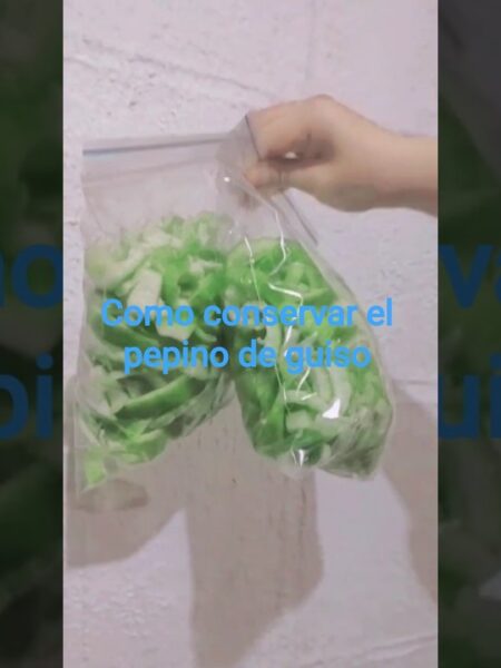 pepino de guiso conservación #cocina #pepinos